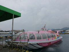 񂸂̐CN[Yւ̓eʐ^1