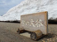 ݂̗RAy[gyxRzւ̓eʐ^1