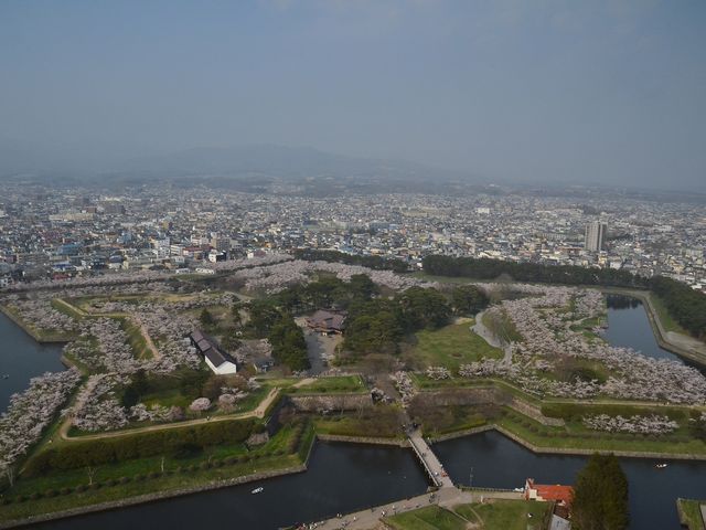 �����炢�Ă��܂�����_�ܗŊs����