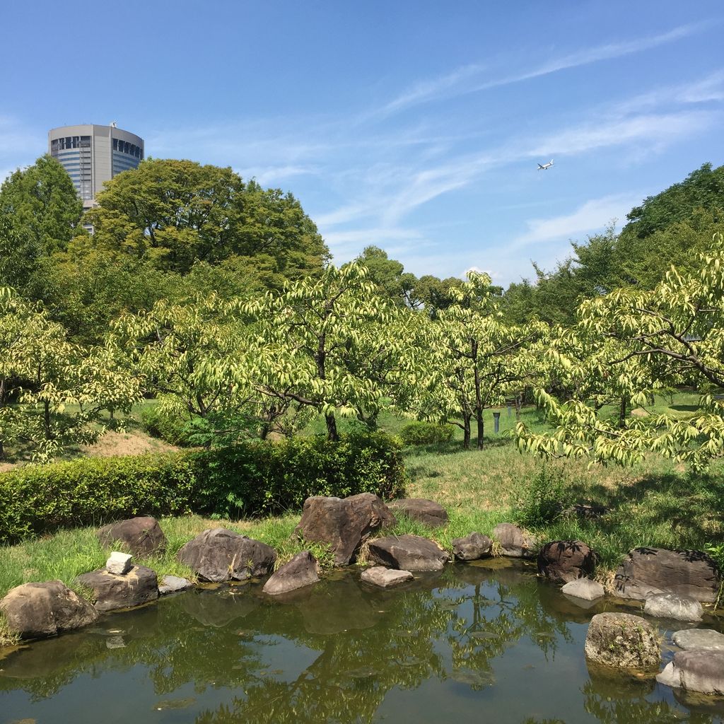 大阪市都島区の公園 庭園ランキングtop5 じゃらんnet