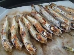 �܂�����̃J�l�_�C��쏤�X�ւ̓��e�ʐ^1