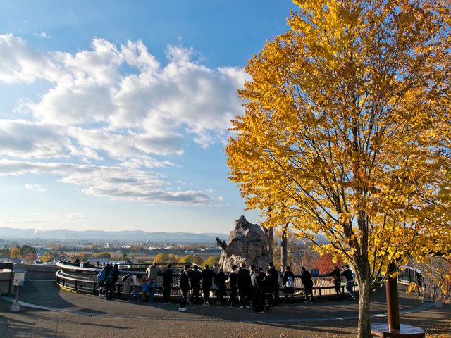 �T���R_���R������