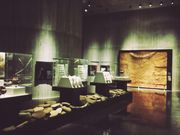 Laa-Laaَ̔sꕶ𗬃Z^[̓eʐ^1