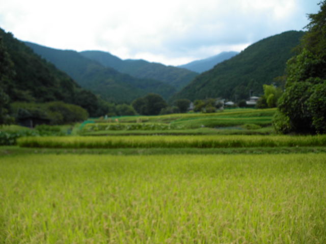 �c�����i
_���V������t