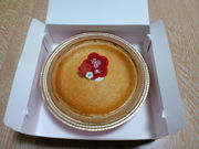 korikorĩ]t ߓSlsX̓eʐ^1