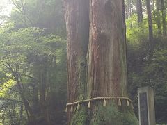 リィさんの御岩神社の投稿写真1
