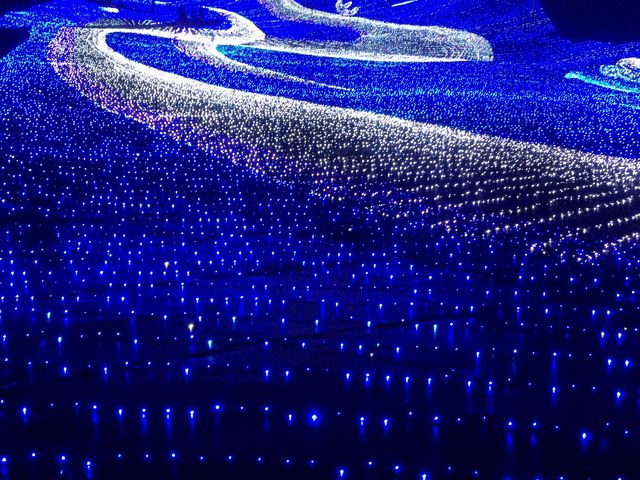 �����L���C_�y���l�̐��n�z�A�p���]�[�g��z�����W�]��