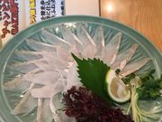 syochan̔ wOX̓eʐ^1