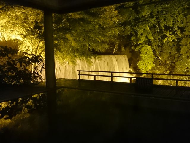 ���C�g�A�b�v���ꂽ�I�V���C_��t����@����