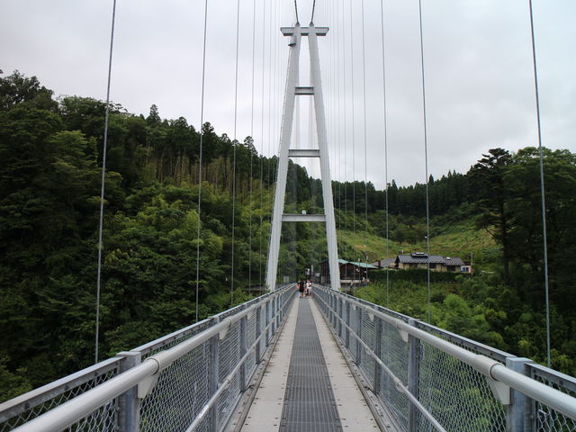 ��d�g���h��݋�_�k���̑�