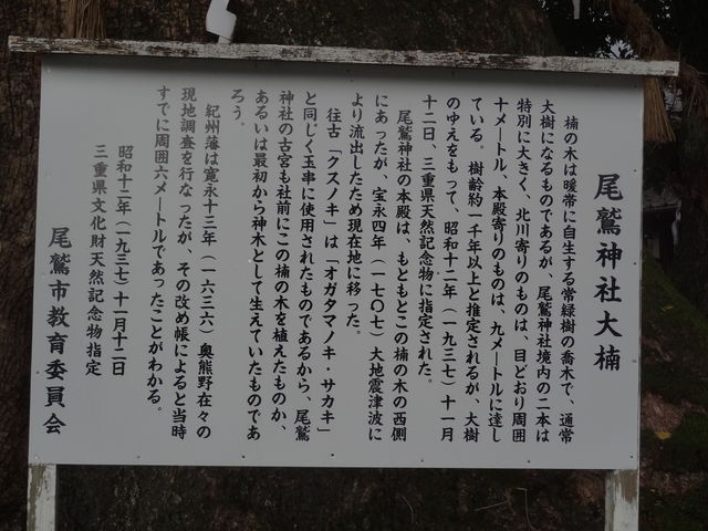 ���h�_�Ђ̑叾