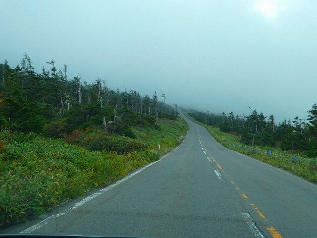 H28.09.25 ��茧�E�H�c���E���������߰�ײ�(���j_������