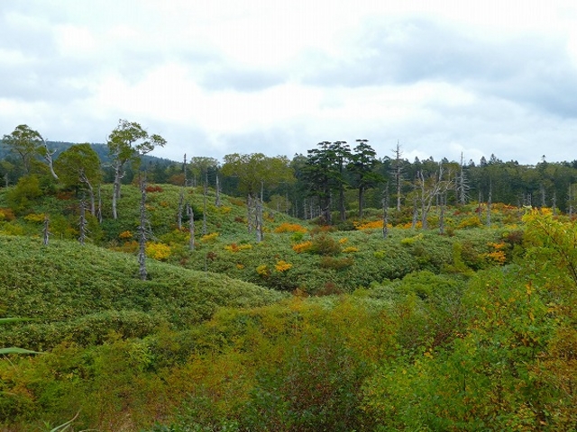 H28.09.25 ��茧�E�H�c���E���������߰�ײ�(���j_������