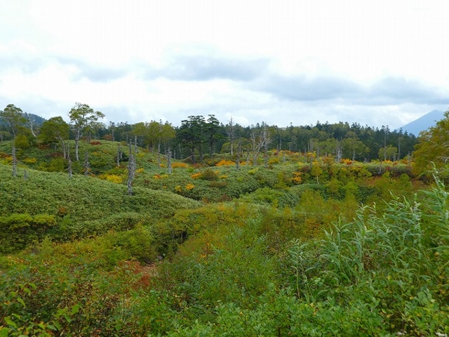 H28.09.25 ��茧�E�H�c���E���������߰�ײ�(���j_������