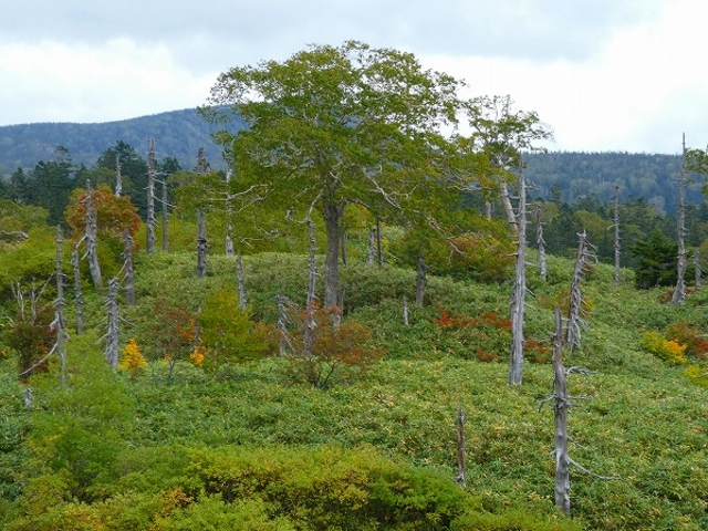 H28.09.25 ��茧�E�H�c���E���������߰�ײ�(���j_������