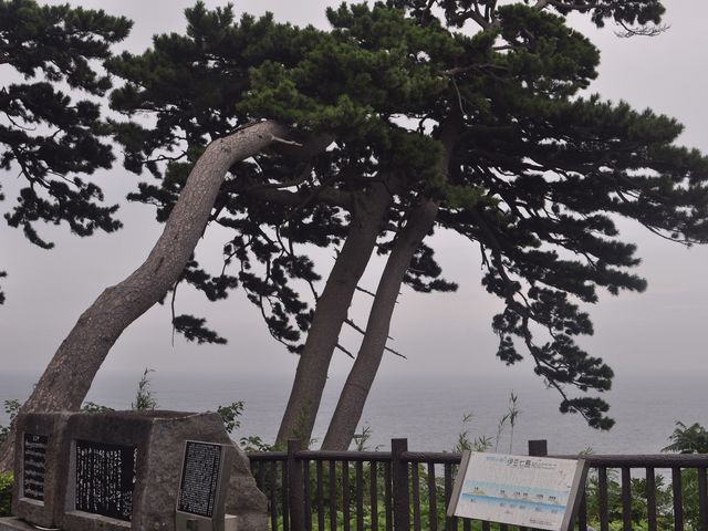 ����Ă���Α����m����]_�ǂ���_��