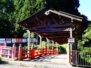 ���ǁ[����̑�����X���̓��e�ʐ^1