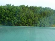 }bÑANeBu][c蔪̓eʐ^4