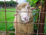 Ƃ̎ꌧ{YZpUZ^[̓eʐ^1