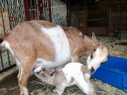 Ƃ̎ꌧ{YZpUZ^[̓eʐ^4