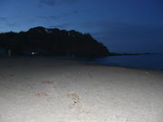 yoshíy2024NJݒ~zYC̓eʐ^1