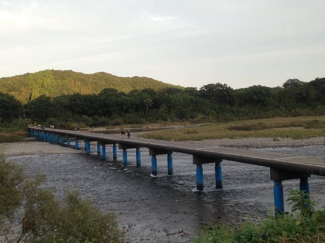 ���c������_���c�̒�����