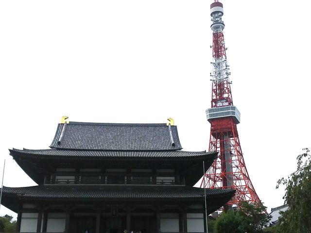 ���㎛�Ɠ����^���[_�Ō����y�ё��㎛�����̍�