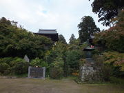 �g�����\����̊ϕ����̓��e�ʐ^1