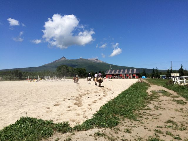 �R�����珬���ɖ߂��Ă����Ƃ���B���o���Ƃ͎v���Ȃ��A���肵���U���ł����B_������R�q��