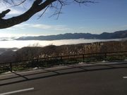 oii̕fRRXJCCSW]xe̓eʐ^1