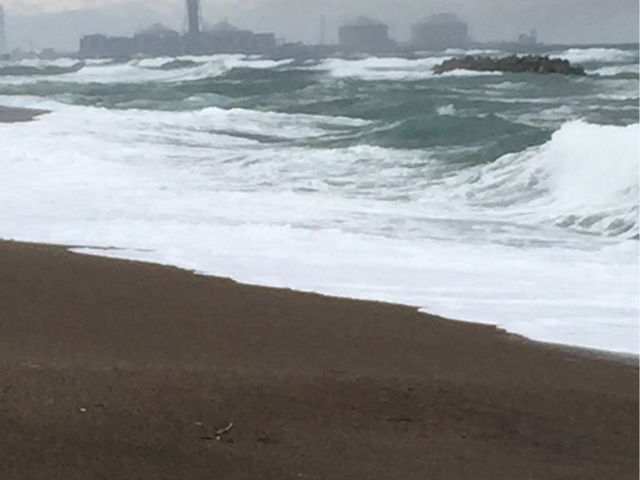 �L�̕l�C������