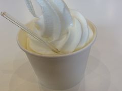 �R���q��̎ʐ^2