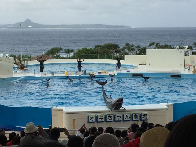 ����C�����فE�C���J�V���[_������ЃZ�����A���u���[