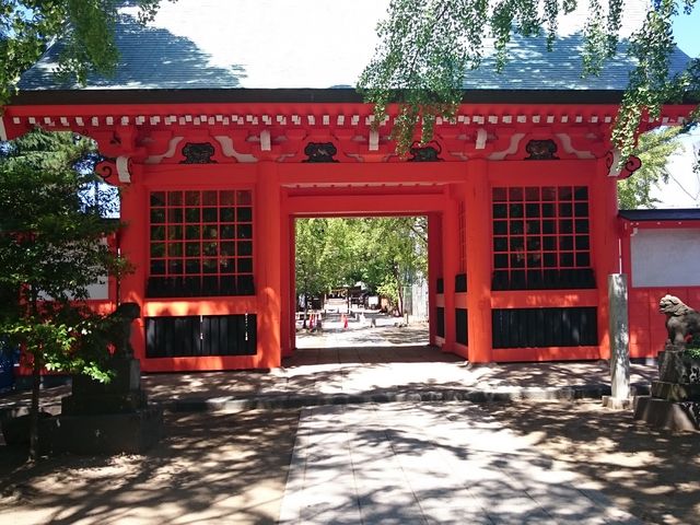 ��_���������{