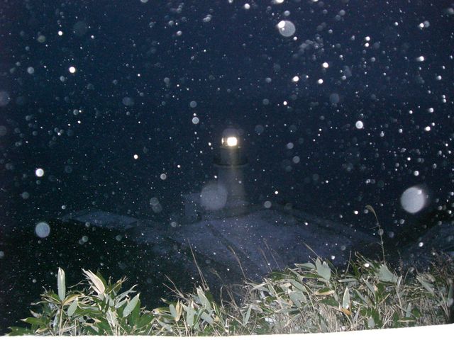 �ᕑ���������́A�n��������_�n�����W�]��