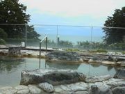 pony̌܉YόzeEȁh{ف^ʊّϑ̓eʐ^1