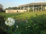 Ƃ炳̌kԂ̋u̓eʐ^1