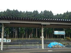 瑠璃蝶さんの日本最古の鉄道防雪原林の投稿写真1