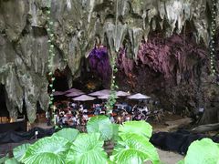 h񂳂̃KK[̒Jւ̓eʐ^1