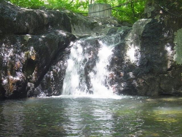 �{�錧�E���s�E�q�E���㉷��i�V�R�앗�C�j_�S�񉷐�