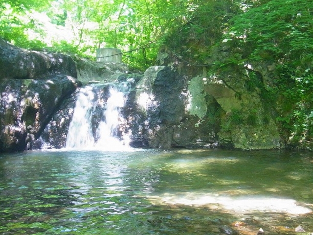 �{�錧�E���s�E�q�E���㉷��i�V�R�앗�C�j_�S�񉷐�