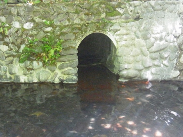 �{�錧�E���s�E�q�E���㉷��i�I�V���C�j_�S�񉷐�