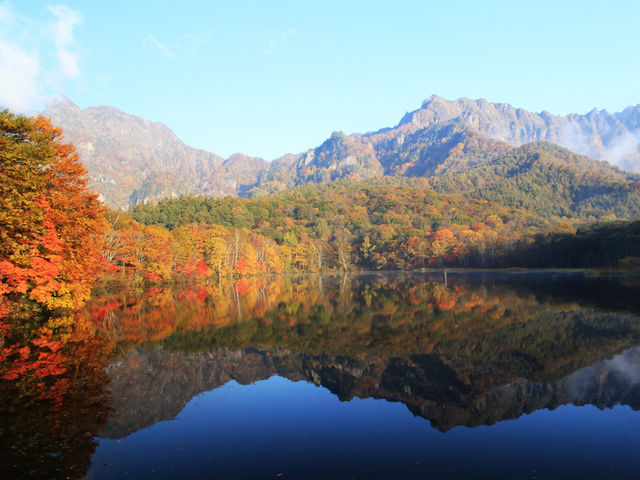 �g�t��_���r