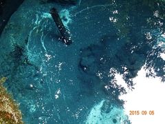 �`�c��N���Q�̎ʐ^1