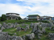 K񂳂̏HgJXgW]̓eʐ^1