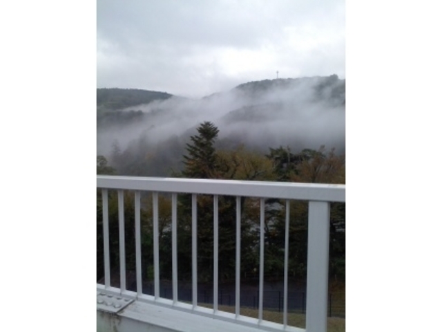 Ԃ񂳂̖qkJ̓eʐ^1