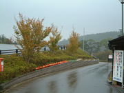 Ԃ񂳂̂イRQ̍gt̓eʐ^1