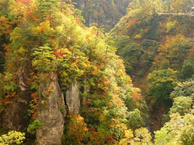 qiLȋ̏ォj_q̍gt