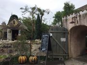 ႱPATISSERIE Ange CoCo̓eʐ^1