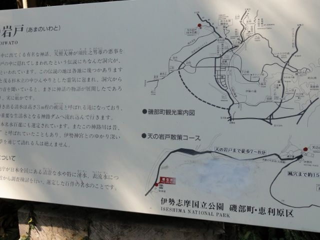 �n�}�̂����Ŕ�����܂���_�V�̊��